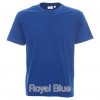 Royal Blue 