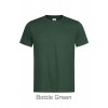 Bottle Green 