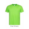 Kiwi Green 
